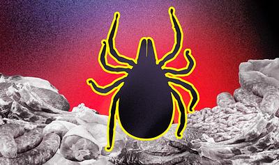 So … a Tick Just Made 500 People in Martha’s Vineyard Vegan