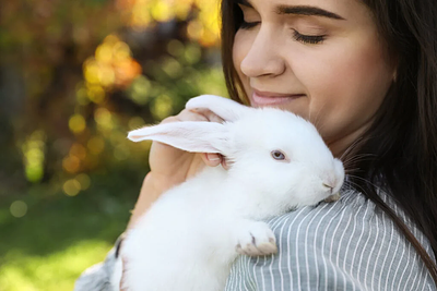 PETA’s New Certification Policy Strips Over 180 Latin American Brands of Cruelty-Free Label