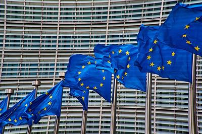 EU Agriculture Committee Advocates Stricter Labeling Practices for Plant-Based Meat Alternatives