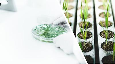 €5 Million in Funding to Help ORF Genetics Scale Up Cultivated Meat Protein Production