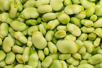 Phytokana Advances $32.5M Project to Turn Canadian Fava Beans Into Plant-Based Food Ingredients