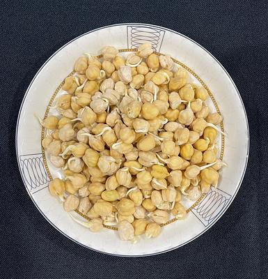 Ubiquity Sprouting Corporation Launches Advanced Germination Technology to Produce Functional Plant-Based Ingredients