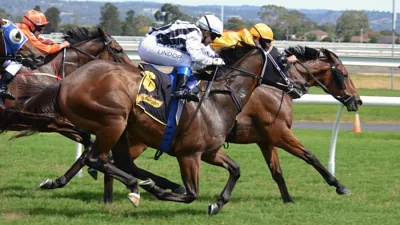 The Dark Side of Horse Racing