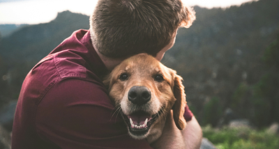 Every day for 90 days, he walked miles looking for his stolen dog. Then the miracle happened