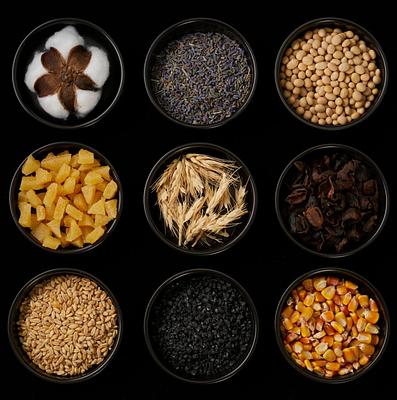 Hyundai Collaborates with UNCAGED Innovations to Replace Traditional Leather with Grain-Based Alternative