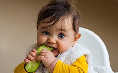 Pediatricians Say ‘Carnivore Babies’ Trend May Mean Kids Miss Important Nutrients