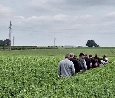 Nuverta Gains FSCC 22000 Certification for Proteins & Starches From Locally Grown Yellow Peas