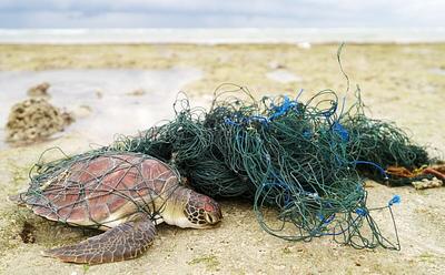 UK Government Declines To Ban Bottom Trawling Four Months After Pledging To Do So
