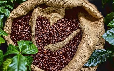 Coffee’s Health Effects: When It Helps And When It Hurts