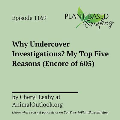 1169: Why Undercover Investigations? My Top Five Reasons (Encore of 605) by Cheryl Leahy at AnimalOutlook.org
