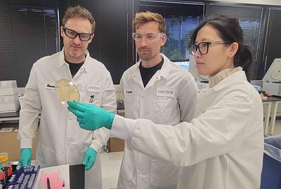Symrise Invests in Cellibre’s Advanced Precision Fermentation Platform