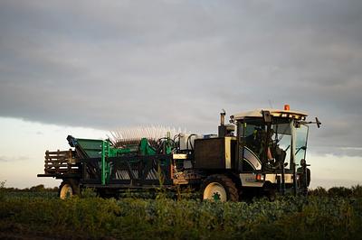 UPP Receives £1.5M Investment from Elbow Beach for Upcycled Broccoli Protein