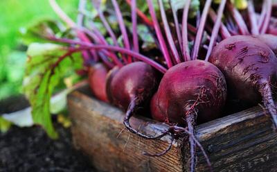 This Is What Happens To Your Body After Eating Beets