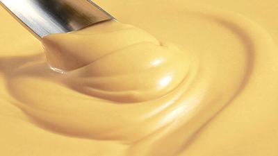 Solar Foods Develops Mayonnaise Using Solein Protein as Egg Yolk Replacement