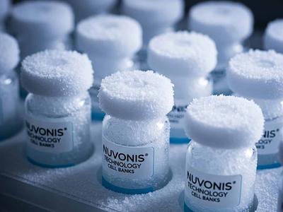 Sponsored Post The Fast Track to Market: How GMP-Grade Cell Lines from Nuvonis are Revolutionizing Cultivated Meat Production