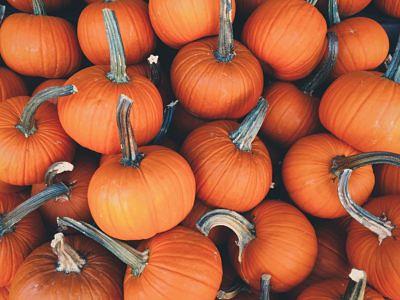 10 Vegan Pumpkin Recipes