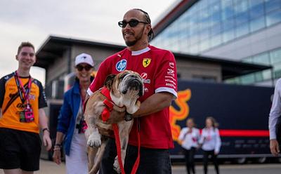 Lewis Hamilton Shares Heartfelt Goodbye To His ‘Beautiful’ Dog Roscoe