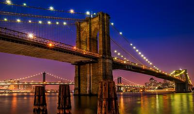 Best Vegan Cities in America: Why New York Fell Behind Portland, LA, and Austin 
