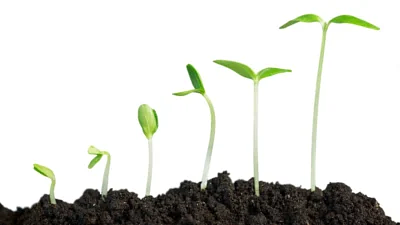 Regenerative Farming … what is it and what can it do for climate targets?