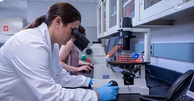 Corning Moves into Cultivated Meat with Edible Microcarrier Patent
