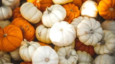 The health benefits of 10 autumn foods