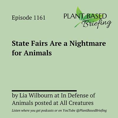 1161: State Fairs Are a Nightmare for Animals by Lia Wilbourn at In Defense of Animals posted at All-Creatures.org