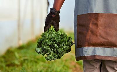 A Third Of British Farmers Made No Profits Last Year, But EU-Style Plant-Based Initiatives Might Help