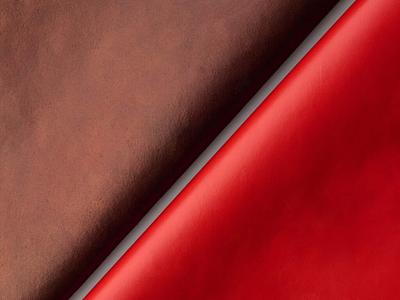 Qorium Raises €22M to Scale Production of Cultivated Leather
