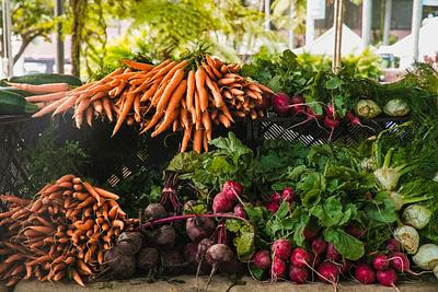 Declaration Calling on Countries to Adopt Plant-Based Action Plans to Be Presented at COP30