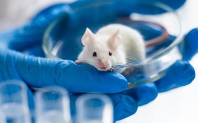 UK Science Minister Proposes Plan To Replace Animal Testing With AI And 3D-Printed Tissue