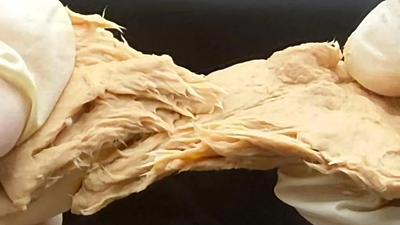Researchers Engineer Meat-Like Fungus to Grow Protein More Quickly With Fewer Emissions