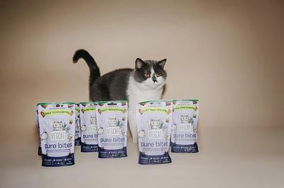 VEGDOG Expands Into Cat Food With Snacks Made From Fermented Protein