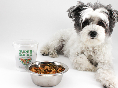 This Plant-Based Pet Food Startup Thinks Your Dog Needs To Eat Salad