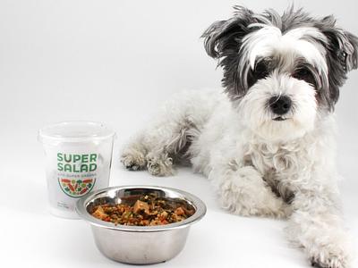 PawCo Launches “First Ever” Plant-Based Salad for Dogs