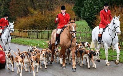 UK Hunts Have Claimed Over £2.4 Million In Taxpayer Money Since Ban