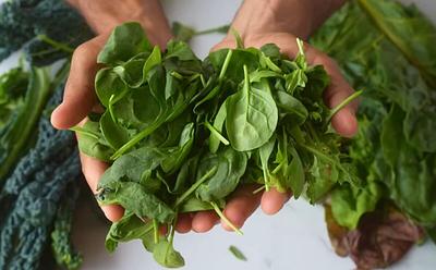 7 Plant-Based Foods That Fight Inflammation and Boost Energy