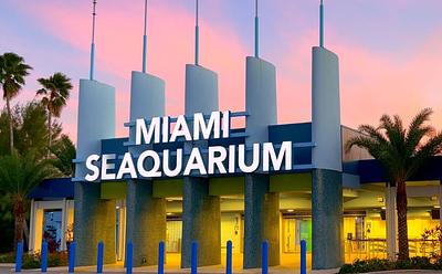 Controversial Miami Seaquarium Closes Permanently After 70 Years