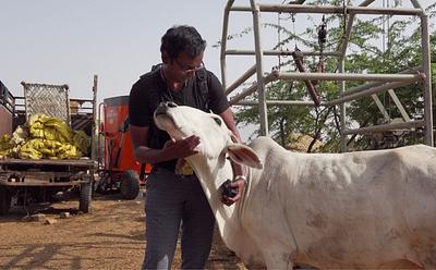 Award-Winning Documentary On India’s Dairy Industry Removed By YouTube