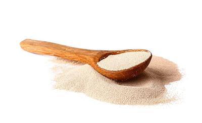 Lallemand Bio-Ingredients Submits Yeast Protein for Fi Europe Innovation Awards 2025