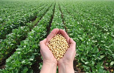 Manufacturing Agility and Cost Scrutiny Expected to Define 2026 Food Industry Landscape