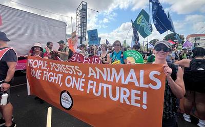 Did COP30 Fail Animals And The Food System?