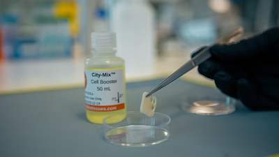 South Korea’s SeaWith Partners with 3D Bio-Tissues to Lower Cultivated Meat Costs