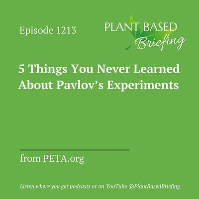 1213: 5 Things You Never Learned About Pavlov's Experiments by PETA.org