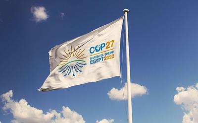 ‘Turning Point’: COP27 Welcomes Vegan Education Booth For The First Time