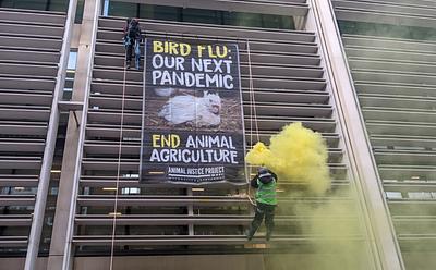 Animal Rights Activists Scale Government Building To Demand Plant-Based Future