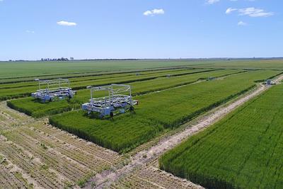 $9 Million Investment in Plant Protein Hub to Advance Agricultural Research in Australia