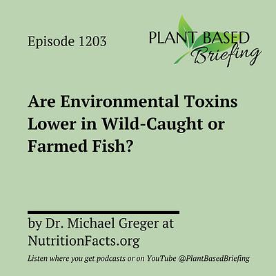 1203: Are Environmental Toxins Lower in Wild-Caught or Farmed Fish? by Dr. Michael Greger at NutritionFacts.org