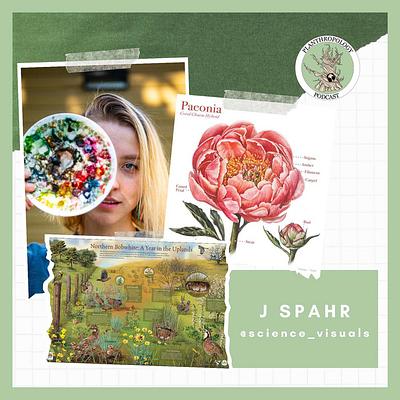 126. Science Illustration, AI Cardinals, and Frozen Asters w/ J. Spahr
