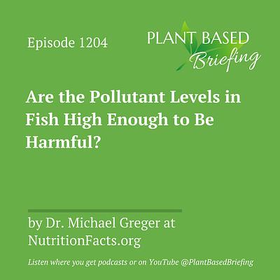 1204: Are the Pollutant Levels in Fish High Enough to Be Harmful? by Dr. Michael Greger at NutritionFacts.org