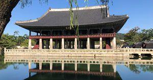 9-Day Vegan Food Tour of South Korea Happening September 2024